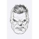 Incredible Hulk #10 Mark Brooks Headshot Sketch 1:50 Variant