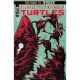 Teenage Mutant Ninja Turtles #149 Cover C Caspar Wijngaard 1:10 Variant