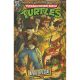 Teenage Mutant Ninja Turtles Saturday Morning Adventures April Special