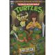 Teenage Mutant Ninja Turtles Saturday Morning Adventures April Special Cover B