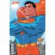 Action Comics #1063 Cover E Tom Reilly 1:25 Variant