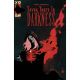 Seven Years In Darkness Year Two #1 Cover B Joseph Schmalke Flame Variant