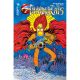 Thundercats #14 Cover I Manix Foil