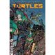 Teenage Mutant Ninja Turtles #8 Cover F 1:10 Ono