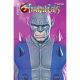 Thundercats #14 Cover Z 1:7 Spears Purple Background