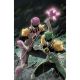 Power Rangers Prime #15 Cover G Unlimited Full Art Griffith