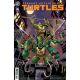 Teenage Mutant Ninja Turtles #16 Cover C Pizzari