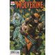 Wolverine #17