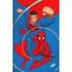 DC Marvel Superman Spider-Man #1 Cover Q David Nakayama Kingdom Come Superman & Spider-Man Card Stock Variant