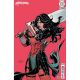 Absolute Wonder Woman #18 Cover B Terry Dodson Card Stock Variant