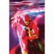 Flash #31 Cover B Gerald Parel Card Stock Variant