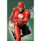 Flash #31 Cover C Brian Bolland Card Stock Variant