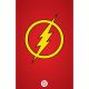 Flash #31 Cover D Symbol Card Stock Variant