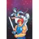 Thundercats X Silverhawks Road To War Cover M 1:25 Meghan Hetrick Virgin Variant