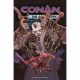 Conan The Barbarian #30 Cover C Stephen Green Variant