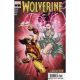 Wolverine Annual #1