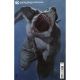 Suicide Squad King Shark #1 Cover B Riccardo Federici Card Stock