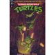 Teenage Mutant Ninja Turtles Saturday Morning Adventures #5 Cover D 1:10 Variant