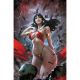 Vampirella #7 Cover N 1:20 Derrick Chew Virgin