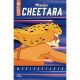 Cheetara Worldbreaker #1 Cover E Animation Art