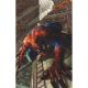 Amazing Spider-Man #12 1:50 Simone Bianchi Virgin Variant