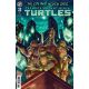 Teenage Mutant Ninja Turtles #22