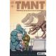Teenage Mutant Ninja Turtles Journeys #14 Cover B Cafaggi