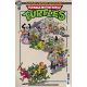 Teenage Mutant Ninja Turtles Saturday Morning Adventures #41 Cover C Mitchroney