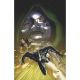 Black Panther Namor Doomed #1 1:50 Taurin Clarke Virgin Variant