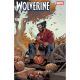 Wolverine #27 Netho Diaz Fall Fantasies Variant