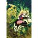 Harley Quinn #66