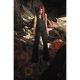 Poison Ivy #48 Cover D Manny Vincent Carbonilla Card Stock Variant