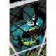Poison Ivy #48 Cover E Hayden Sherman Dark Knight Returns 40Th Anniversary Card Stock Variant