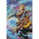 Emperor Aquaman #21 Cover C Vincenzo Riccardi Card Stock Variant