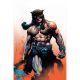 Fire And Ice Darkwolf #3 Cover F Dan Panosian Metal Premium Variant
