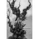 Red Sonja She Devil With A Sword #5 Cover M 1:7 Mike Rooth B&W Virgin Variant