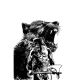 Fire And Ice Darkwolf #3 Cover M 1:5 Fernando Proietti Line Art Virgin Variant
