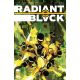 Radiant Black #18