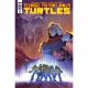 Teenage Mutant Ninja Turtles #132 Cover C Leite 1:10 Variant