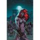 Red Sonja Vs Army Of Darkness #5 Cover E Raney Metal Premium Cover