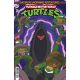 Teenage Mutant Ninja Turtles Saturday Morning Adventures #28