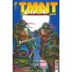 Teenage Mutant Ninja Turtles Journeys #1
