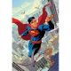 Superman Unlimited #4 Cover C Hayden Sherman Card Stock Variant
