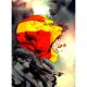 Dc Vs Vampires World War V #12 Cover B Dustin Nguyen Card Stock Variant