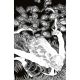 Fall Of The House Of Slaughter #4 Cover D 1:10 Full Art Cha