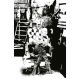 Fall Of The House Of Slaughter #4 Cover F 1:25 Full Art Dell Edera