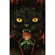 Stuff Of Nightmares The Cat In The Coffin #1 Cover D Glow In The Dark Full Art Francavilla