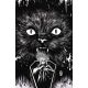 Stuff Of Nightmares The Cat In The Coffin #1 Cover I Unlimited Full Art Francavilla