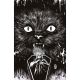 Stuff Of Nightmares The Cat In The Coffin #1 Cover I Unlimited Full Art Francavilla