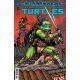 Teenage Mutant Ninja Turtles #21 Cover B Eastman & Bishop